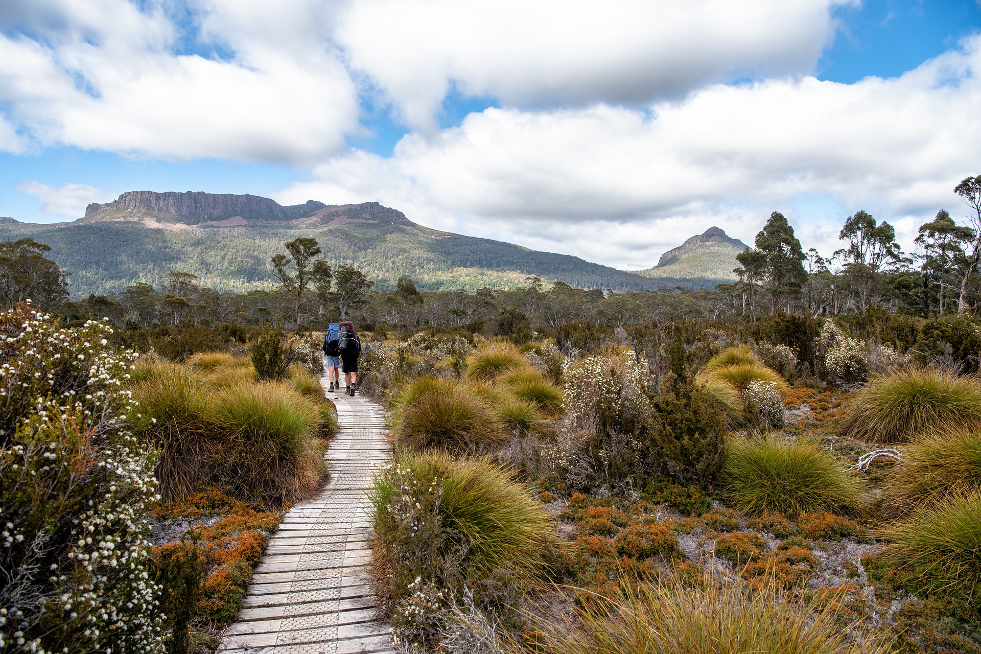 Unveiling Australia’s Hidden Gems: Explore the Thrill of Hiking in the Land Down Under